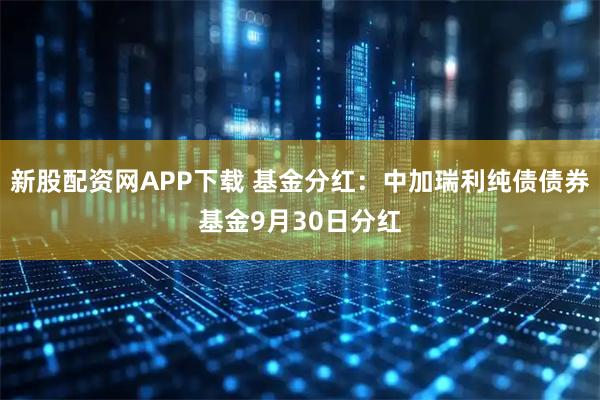 新股配资网APP下载 基金分红：中加瑞利纯债债券基金9月30日分红