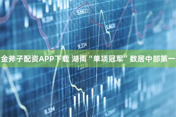 金斧子配资APP下载 湖南“单项冠军”数居中部第一