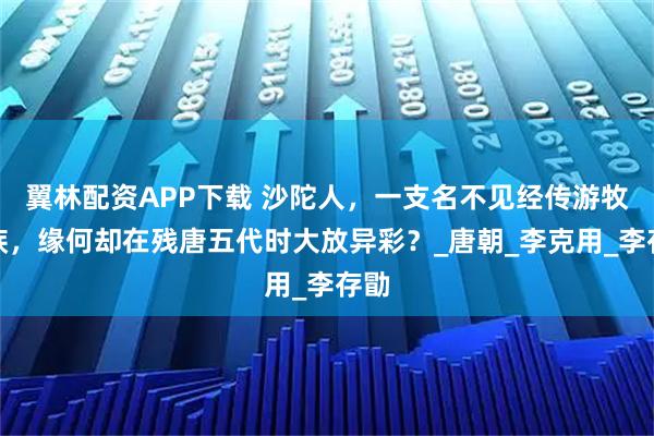 翼林配资APP下载 沙陀人，一支名不见经传游牧民族，缘何却在残唐五代时大放异彩？_唐朝_李克用_李存勖