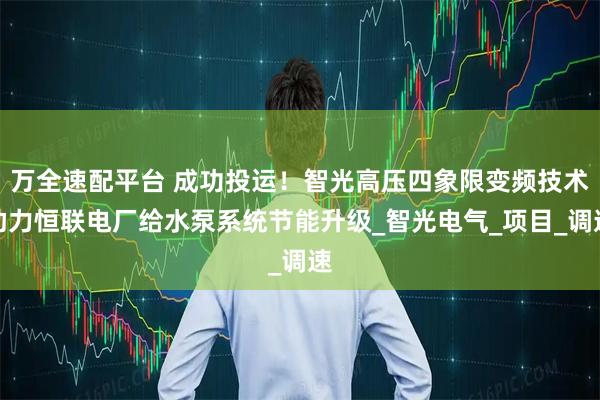 万全速配平台 成功投运!智光高压四象限变频技术助力恒联电厂给水泵系统节能升级_智光电气_项目_调速
