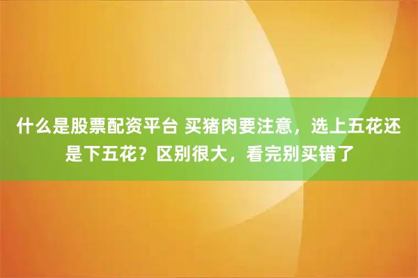 什么是股票配资平台 买猪肉要注意,选上五花还是下五花?区别很大,看完别买错了